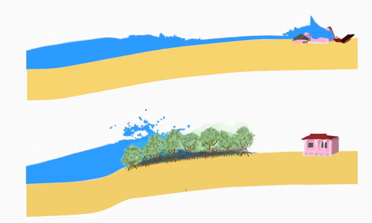 Screenshot of mangrove animation